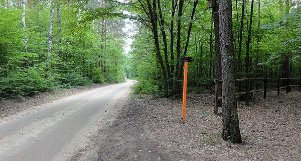 Droga z Wólki Plebańskiej do Woli Dubowskiej