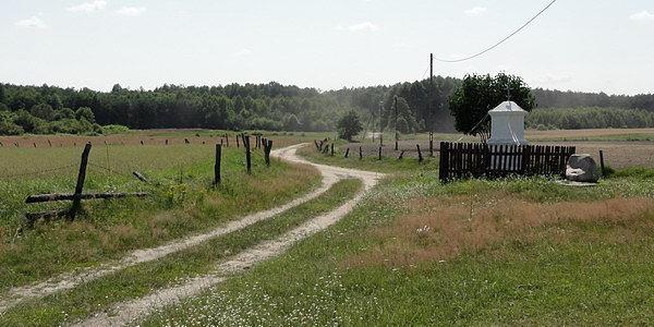 Kapliczka w Żdżarce