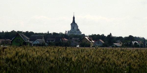 Prawie w Kodniu
