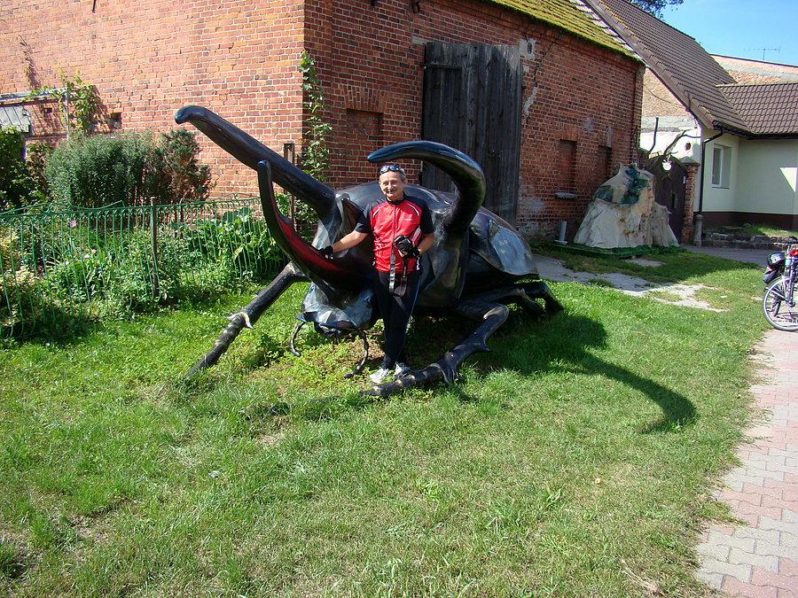 Mścięcino
