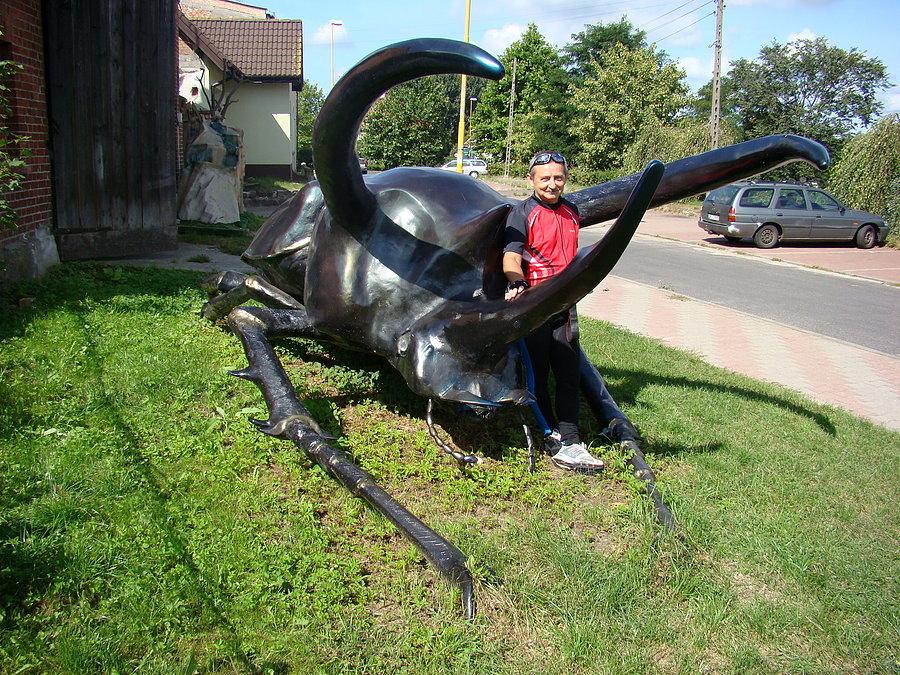 Wojtek i żuczek