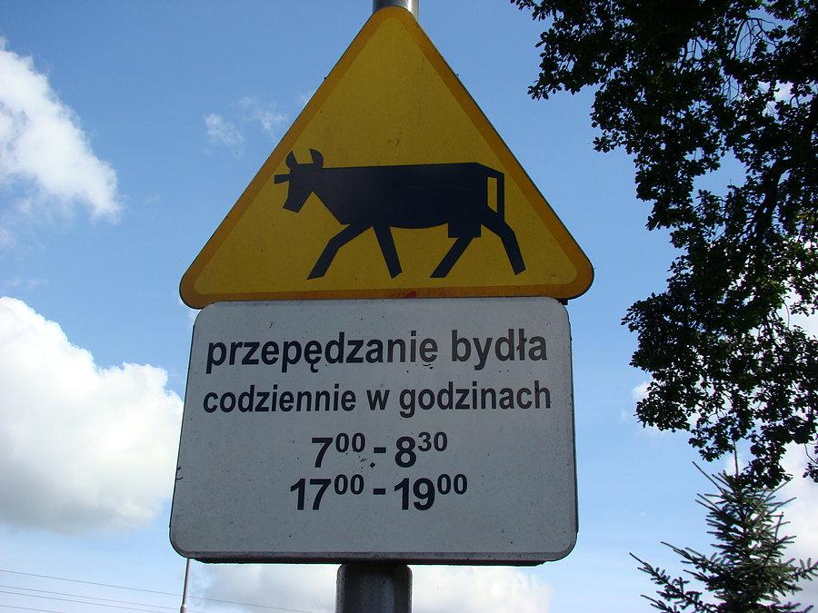 To nie żarty