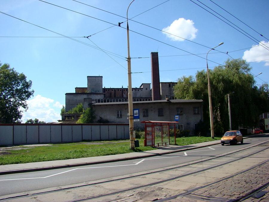 Wzdłuż Odry