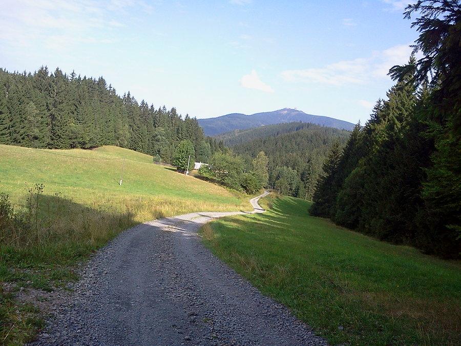 Zjazd do Rzeczyc