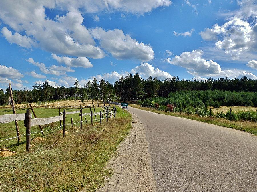Rajd rowerowy po gminie Kaliska