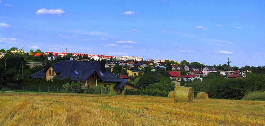 Wodzisław Śląski z okolic Jedłownika