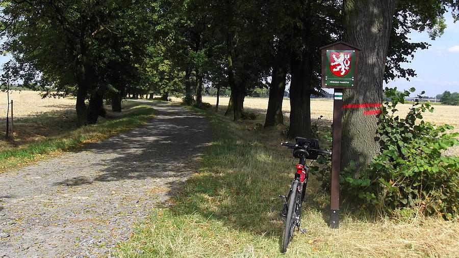 Ścieżka rowerowa do Antosovic