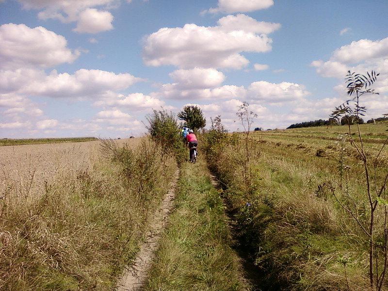 Zarośnięty szlak koło Bedonia