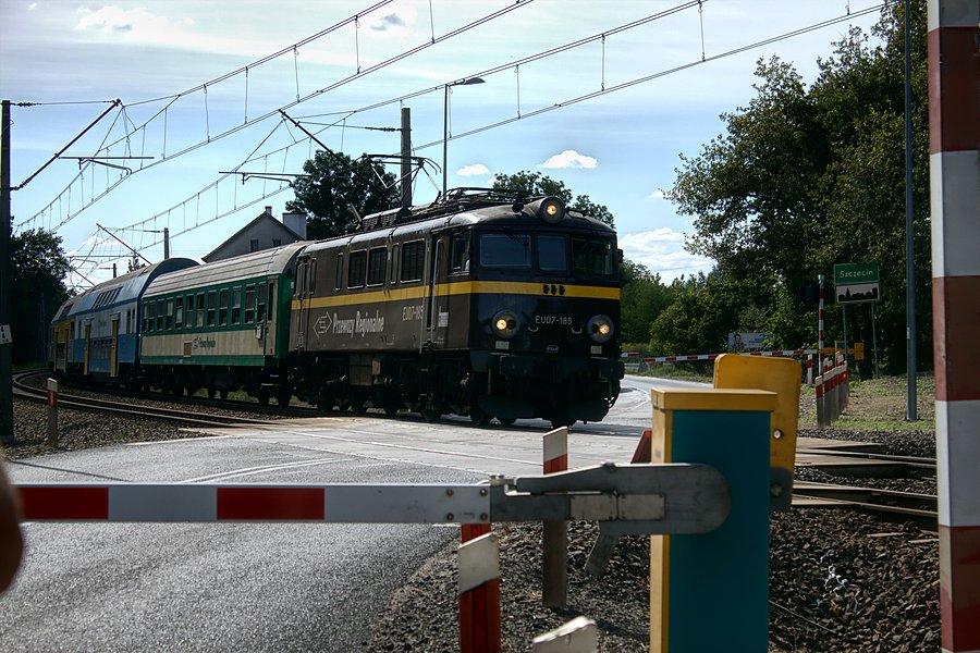 Kolejny pociąg tym razem przejeździe kolejowym w Dąbiu