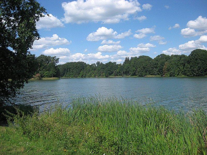 Jezioro Kowalskie - widok na brzeg w Kowalskim