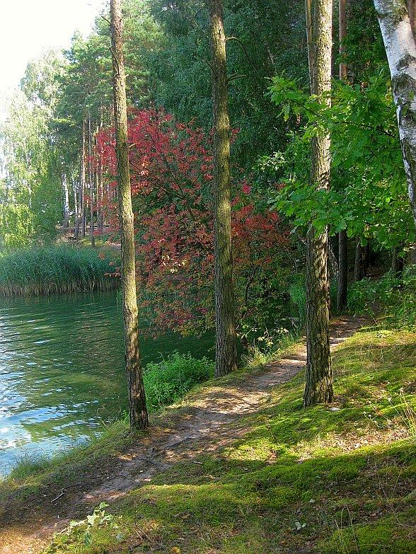 Jezioro Kowalskie - singletrack i pierwsze oznaki jesieni po drodze