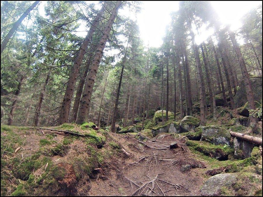 Kawałek zjazdu na Wales