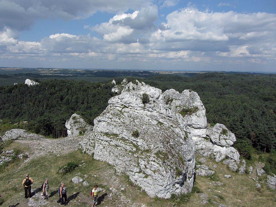 Widok z Góry Zborów I
