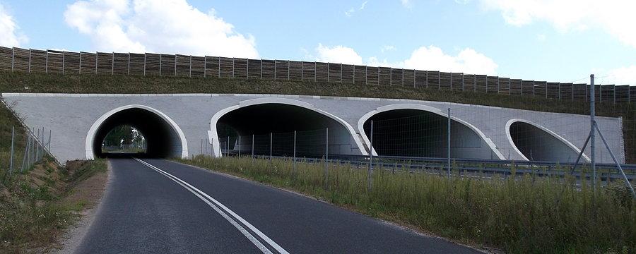Tunele i wiadukty wzdłuż ekspresówki S5