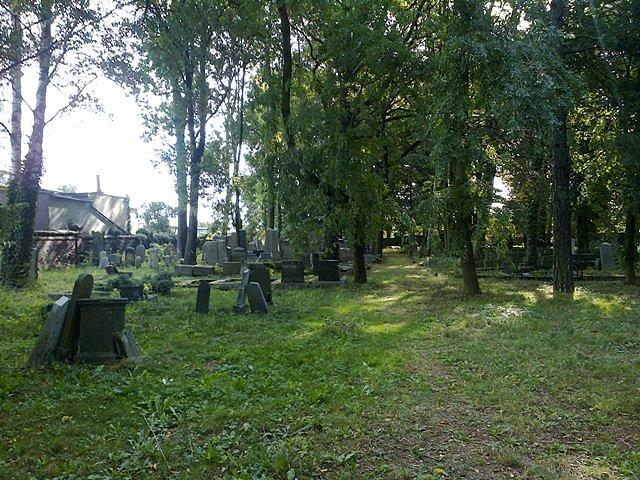 Widok na kirkut z przodu