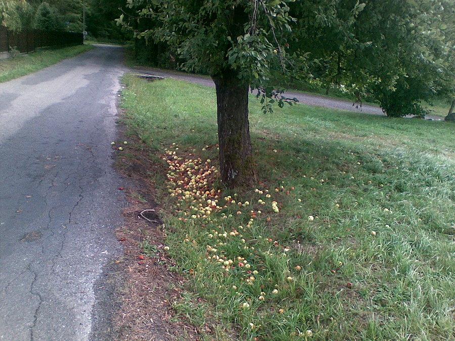 Smakują lepiej niż wyglądają :p