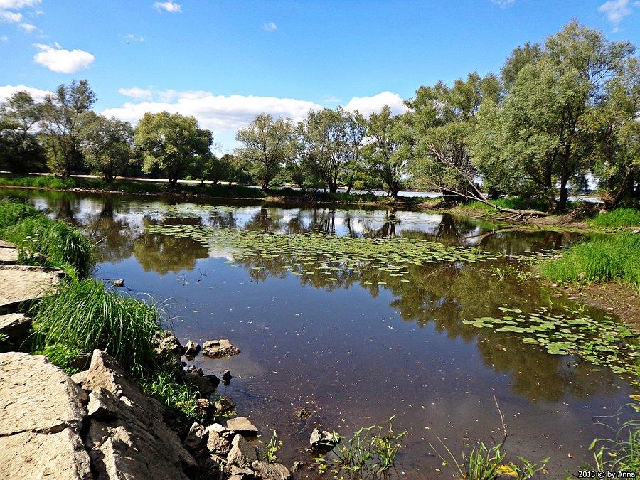Narew, tuz przed Nowym Dworem Mazowieckim