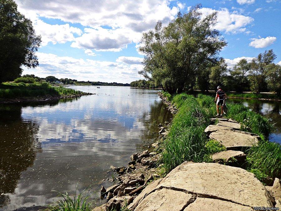 Narew