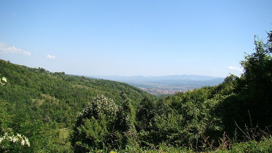W dole Knjazevac