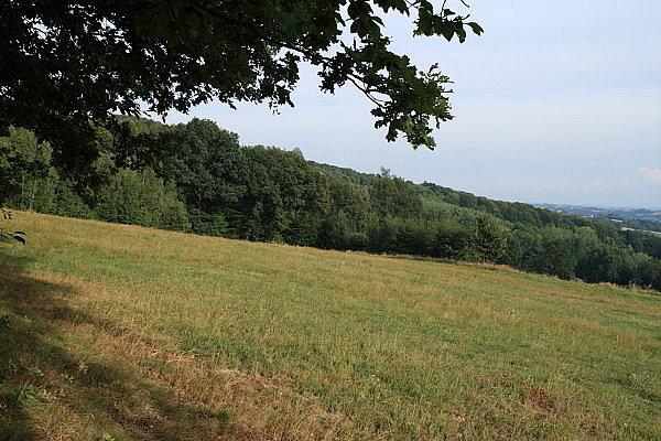 Widok z os. Budyń II
