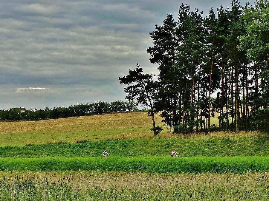 Krajobraz Kociewia