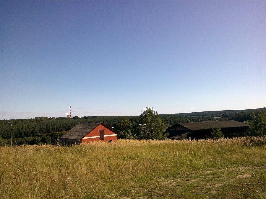 Krajobraz z celulozą w tle