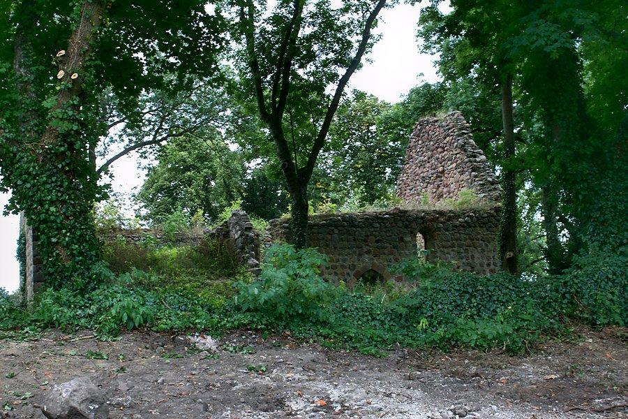 Ruiny kościoła w Pargowie