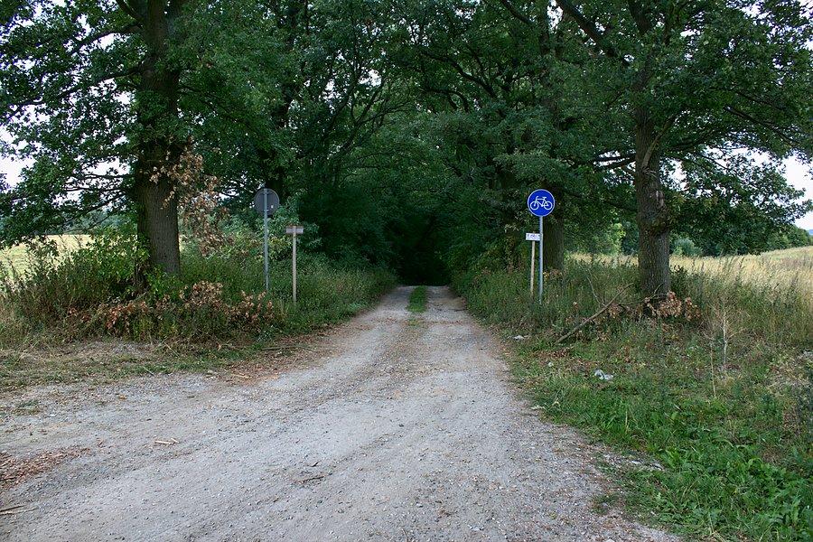 A dalej Szlakiem Bielika