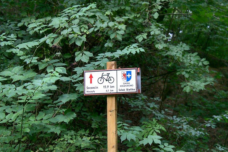 Oznakowanie na Szlaku Bielika