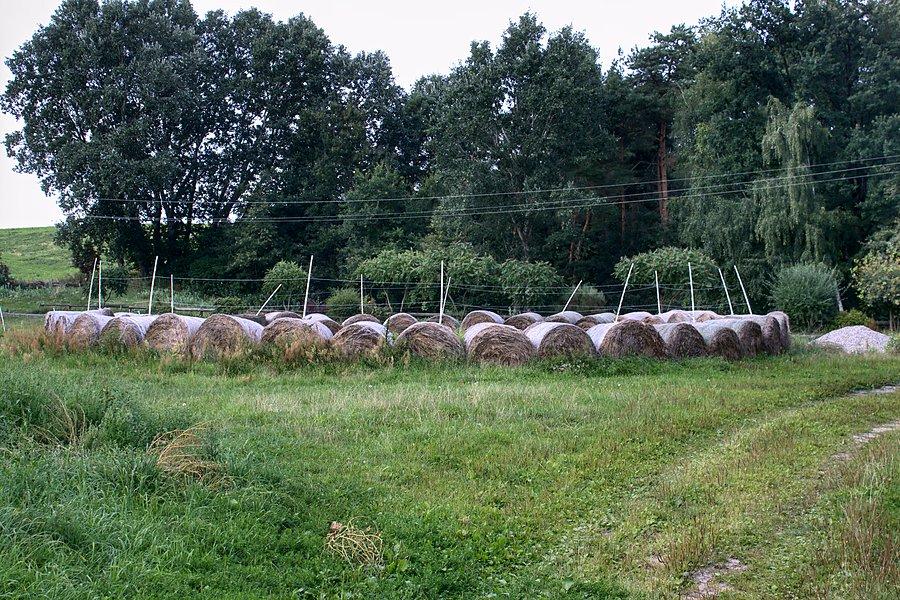 A cóż to za tajemniczy krąg ??