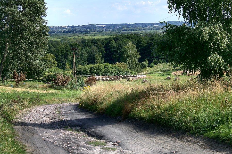 Pod górkę do drogi Kamionki - Moczyły