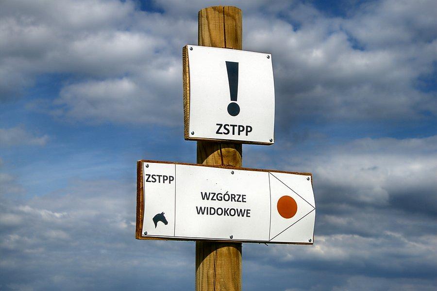 Wzgórze widokowe między Kamionkami a Moczyłami