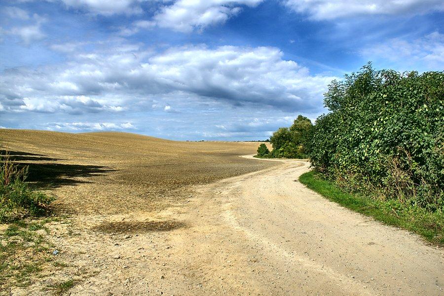 Dalej Szlakiem Bielika