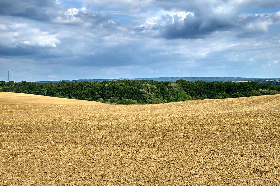Przydrożne widoki