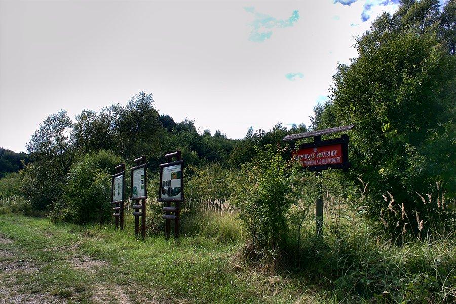Rezerwat Przyrody Wzgórze Widokowe nad Międzyodrzem