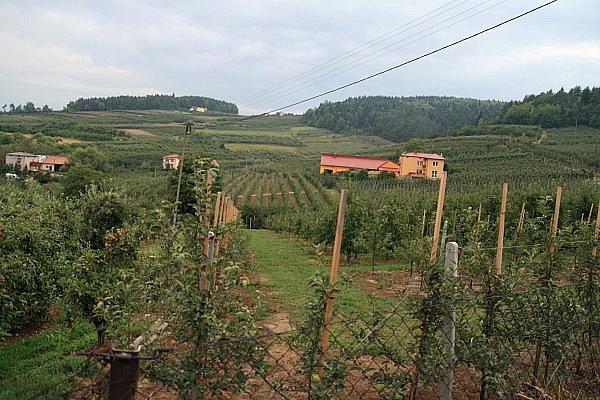 Czarny Potok