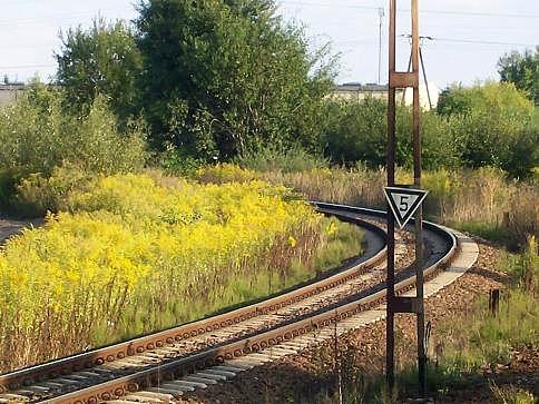 Ten znak na słupie trakcyjnym to kolejowe ograniczenie prędkości do 50 km/h (cyfra na znaku x 10)