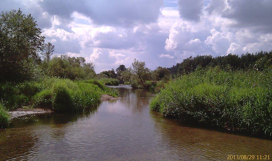 Kocinka kończy bieg w Liswarcie