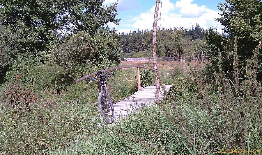 Urokliwy mostek na Kocince, Trzebca