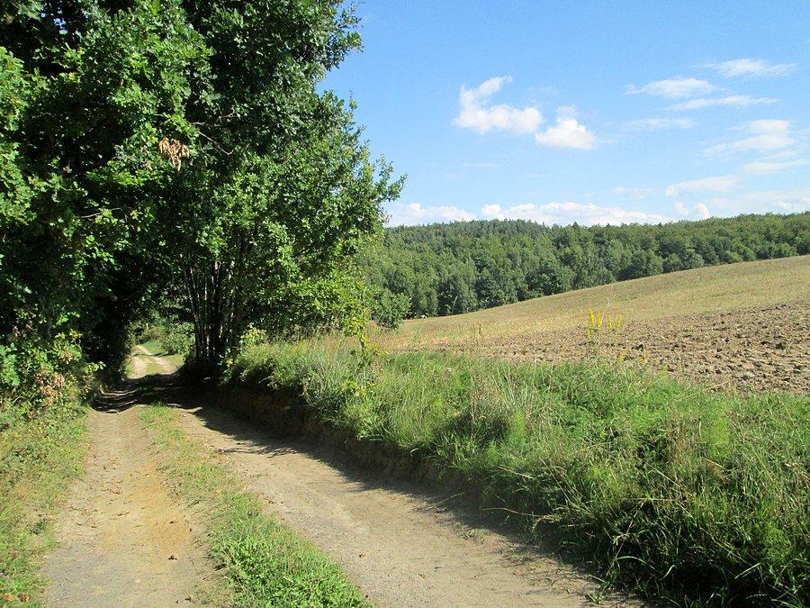 Gruntówka :-)