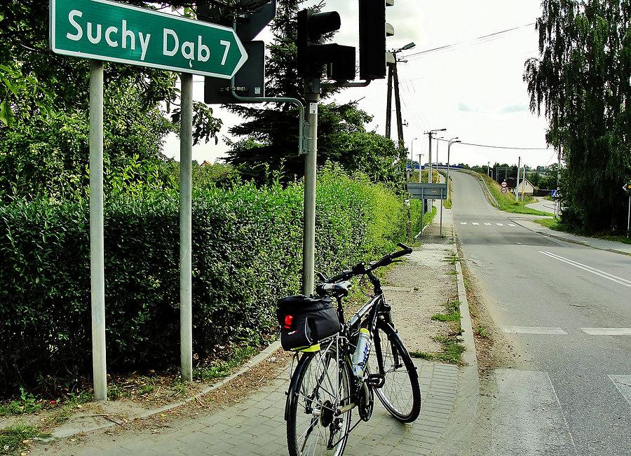 Na trasie wycieczki - Skowarcz