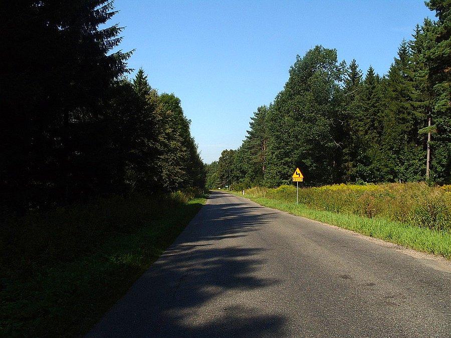 Trasa przez Puszczę Romnicką