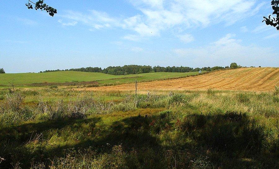 Ciągle koło pól nad granicą