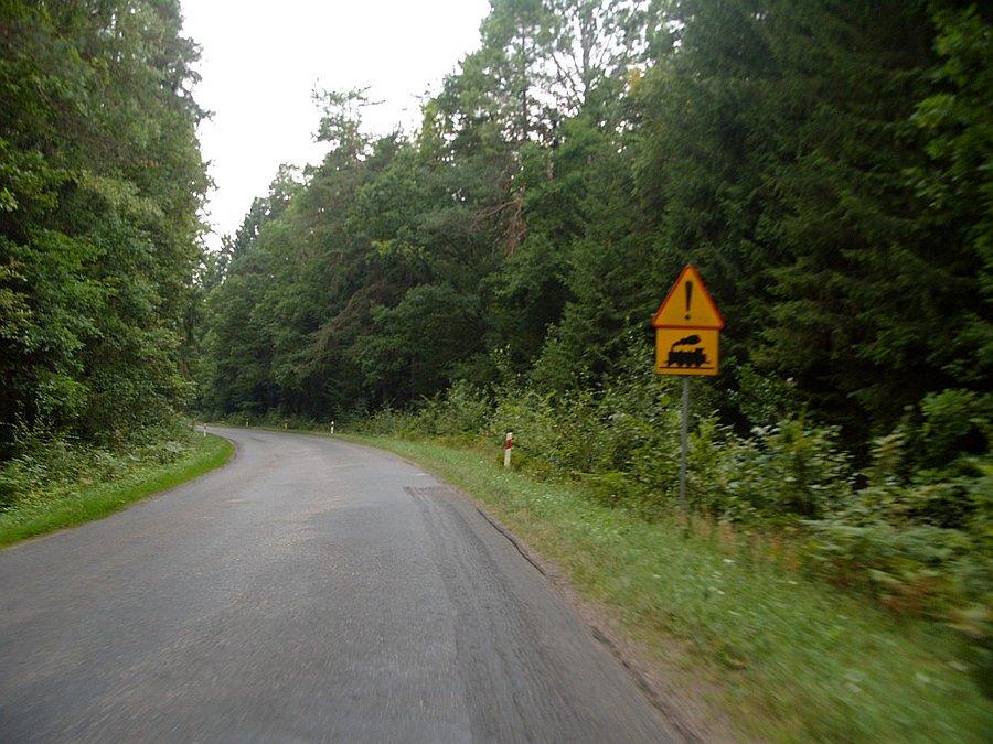 Na skraju Białowieży