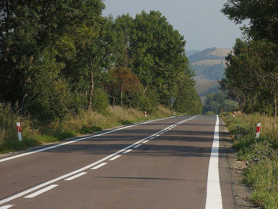 Z pogózy w Biesy