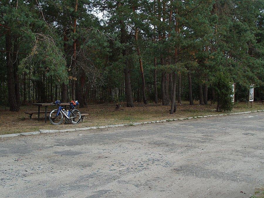 Postój w lasku