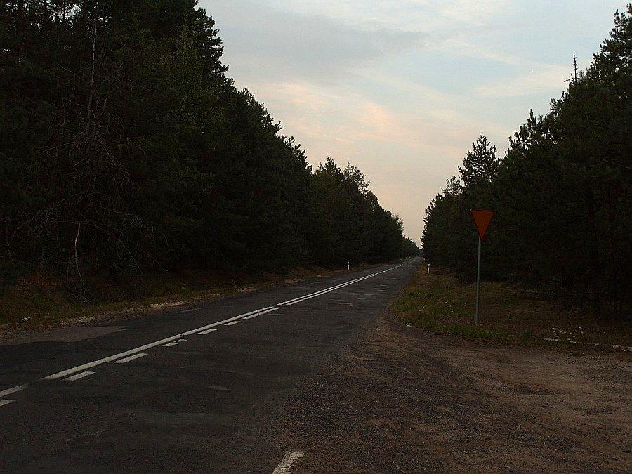 Nadbużańska szosa w stronę Włodawy