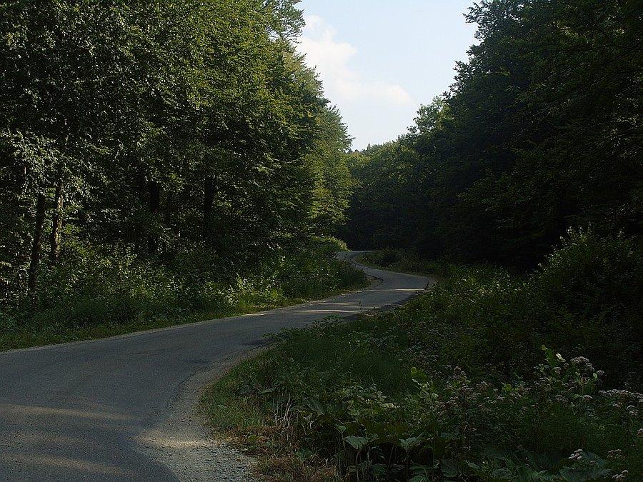 Pierwszy poważnijeszy podjazd - Arłamów
