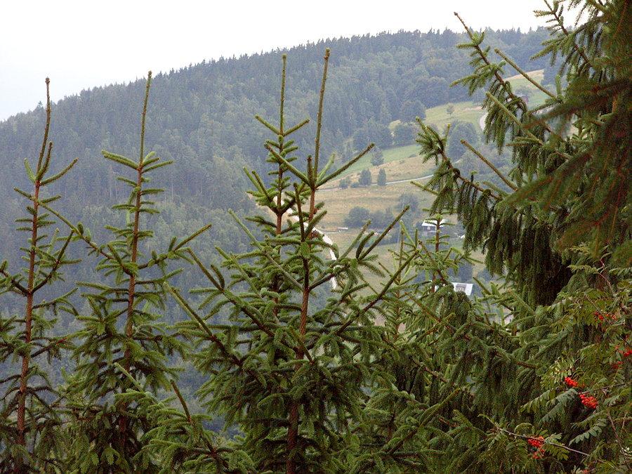 Tą piękną wstążką w oddali mieliśmy zjeżdżać jako droga powrotna, szybka i stroma