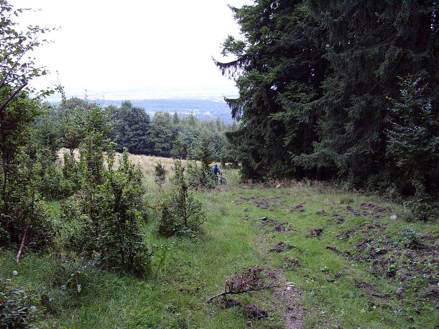 Gdy po 1,5 km Wietnamskich zasieków nagle ujawnia się nam jakaś tajemnicza łąka zryta przez dziki. Czyli jest już nadzieja na małe co nieco
